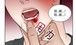 腐漫画网,探索耽美文化的魅力与情感纠葛